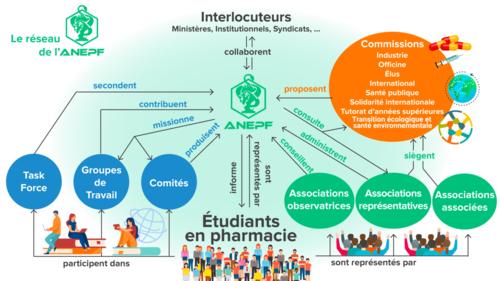 Organigramme-ANEPF-mise-a-jour-1536x864.png