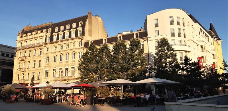 Fichier:20210616 204812 (2).jpg